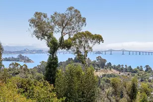 335 Highland Ave, San Rafael, CA 94901 - Photo 51