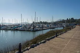 310 Point San Pedro Rd, San Rafael, CA 94901 - Photo 55