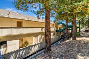 270 Channing Way, San Rafael, CA 94903 - Photo 25