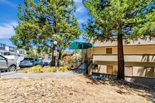 270 Channing Way, San Rafael, CA 94903 - Photo 23