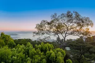 234 Currey Ln, Sausalito, CA 94965 - Photo 69