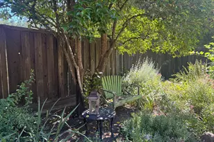 11850 Hwy 116, Guerneville, CA 95446 - Photo 29