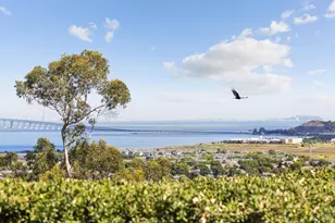 40 W Seaview Ave, San Rafael, CA 94901 - Photo 49