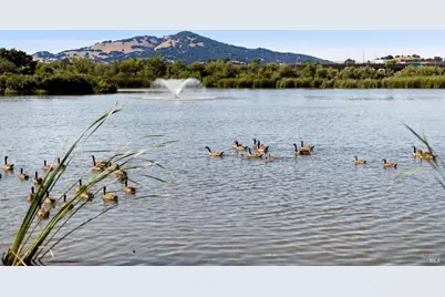 1259 Royal Oak Terrace #C, Novato, CA 94947 - Photo 25