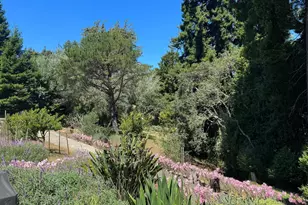 10960 Barnett Valley Rd, Sebastopol, CA 95472 - Photo 49