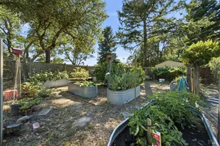 10960 Barnett Valley Rd, Sebastopol, CA 95472 - Photo 37