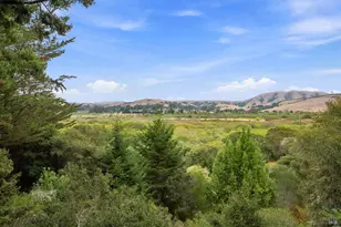 6 Noren Way, Point Reyes Station, CA 94956 - Photo 13