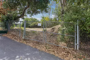 281 Karen Way, Tiburon, CA 94920 - Photo 43