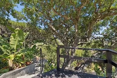 180 McNear Drive, San Rafael, CA 94901 - Photo 83