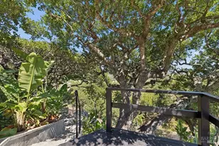 180 McNear Dr, San Rafael, CA 94901 - Photo 83