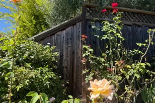 2142 Feliz Dr, Novato, CA 94945 - Photo 15