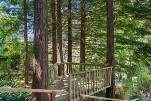 108 Hacienda Dr, Tiburon, CA 94920 - Photo 81