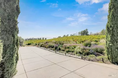 3001 Sears Point Road, Sonoma, CA 95476 - Photo 7