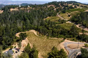 3000 Mt Veeder Rd, Napa, CA 94558 - Photo 75