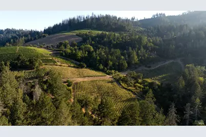 3000 Mount Veeder Road, Napa, CA 94558 - Photo 77