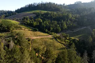 3000 Mt Veeder Rd, Napa, CA 94558 - Photo 77