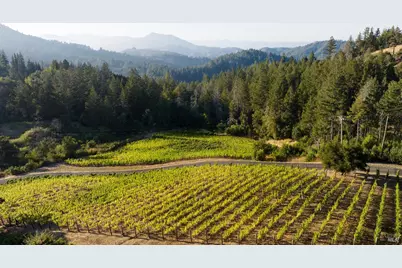 3000 Mount Veeder Road, Napa, CA 94558 - Photo 71