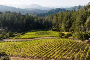 3000 Mt Veeder Rd, Napa, CA 94558 - Photo 71