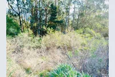 1245 Shoreline Highway, Mill Valley, CA 94941 - Photo 5