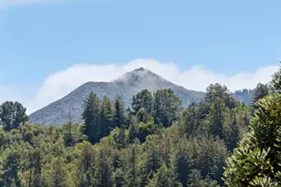 247 Santa Margarita Dr, San Rafael, CA 94901 - Photo 13