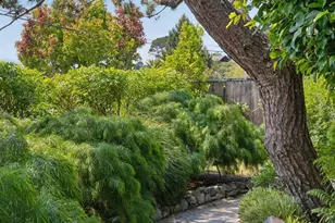 115 Oak Dr, San Rafael, CA 94901 - Photo 5