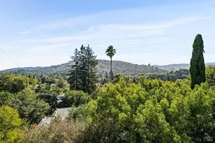 24 Hillcrest Ct, San Anselmo, CA 94960 - Photo 23