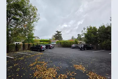 141 Camino Alto, Mill Valley, CA 94941 - Photo 7