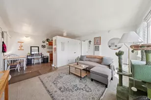 231 Laurel Pl, San Rafael, CA 94901 - Photo 47