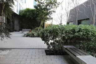 388 Fulton St, San Francisco, CA 94102 - Photo 5