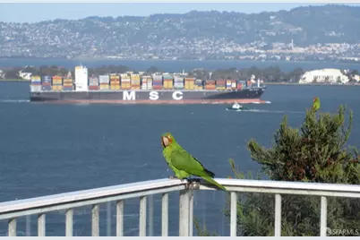 1360 Montgomery Street #11, San Francisco, CA 94133 - Photo 25