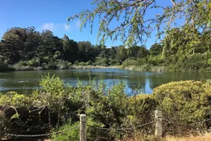 726 Lake St, San Francisco, CA 94118 - Photo 61