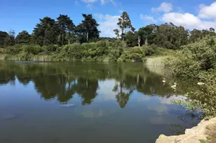 726 Lake St, San Francisco, CA 94118 - Photo 59