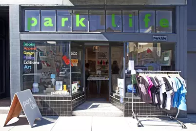 726 Lake Street, San Francisco, CA 94118 - Photo 79