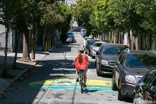 15 Lucerne St, San Francisco, CA 94103 - Photo 31