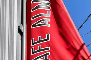 29 Kirkwood Ave, San Francisco, CA 94124 - Photo 83