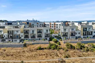 29 Kirkwood Ave, San Francisco, CA 94124 - Photo 63