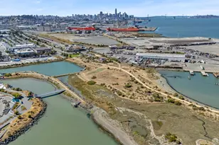 29 Kirkwood Ave, San Francisco, CA 94124 - Photo 77