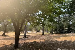 19481 N Rambling Oak Dr, Redding, CA 96003 - Photo 45