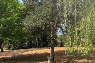 19481 N Rambling Oak Dr, Redding, CA 96003 - Photo 29