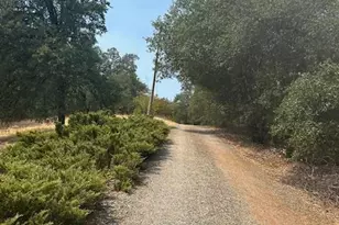 19481 N Rambling Oak Dr, Redding, CA 96003 - Photo 61