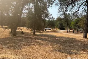 19481 N Rambling Oak Dr, Redding, CA 96003 - Photo 57