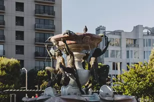 1255 California St, San Francisco, CA 94109 - Photo 31