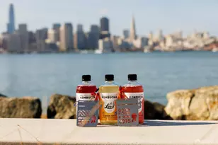 38 Meadow Dr, San Francisco, CA 94130 - Photo 43