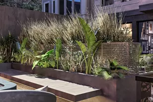 2536 California St, San Francisco, CA 94115 - Photo 21