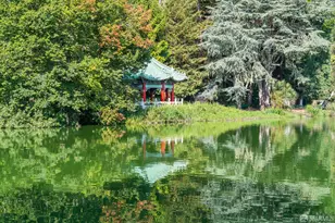 855 41st Ave, San Francisco, CA 94121 - Photo 67