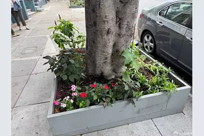 211 Steiner Street, San Francisco, CA 94117 - Photo 3