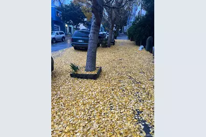 252 Coleridge Street, San Francisco, CA 94110 - Photo 31