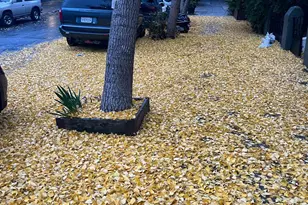 252 Coleridge St, San Francisco, CA 94110 - Photo 31