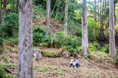 636 28th Street, San Francisco, CA 94131 - Photo 83