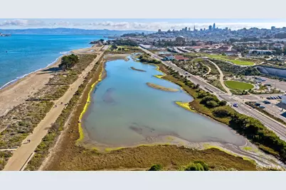 3044 Franklin Street #102, San Francisco, CA 94123 - Photo 33